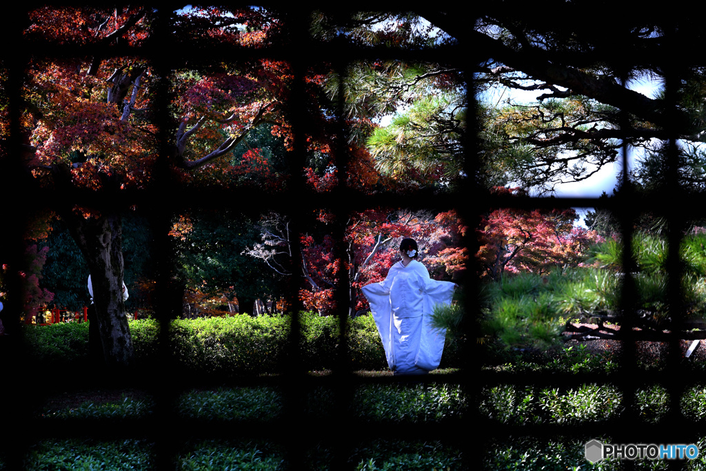 格子越しの花嫁