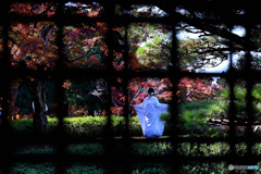 格子越しの花嫁