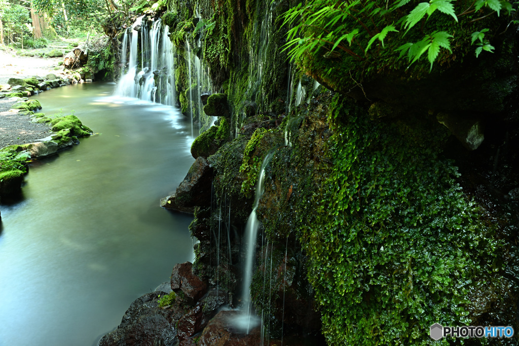 箱根伏流水の滝
