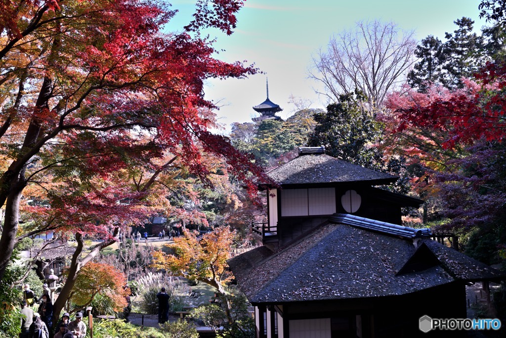 横浜三渓園
