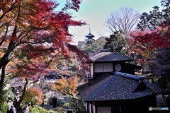 横浜三渓園