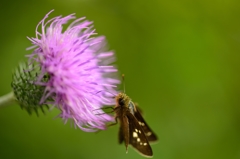 至福のひととき！