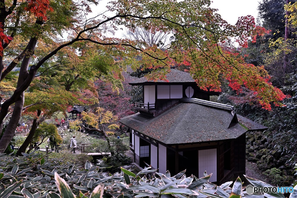 三渓園聴秋閣