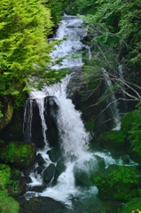 梅雨時の竜頭の滝Ⅱ