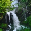 梅雨時の竜頭の滝Ⅱ