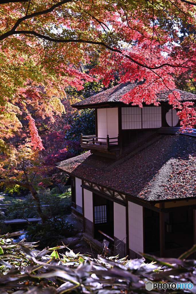 紅に染まる聴秋閣