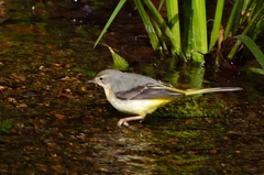 ”何を求めて”