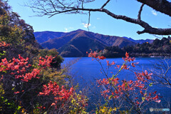 奥多摩湖の青と紅