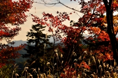 高尾山も秋色に！