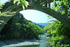 御岳橋からの上流