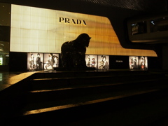 PRADA