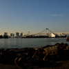 ”粋な海浜公園”