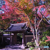 御門を飾る紅葉