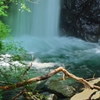 ”エビラ沢の滝（滝壺）”