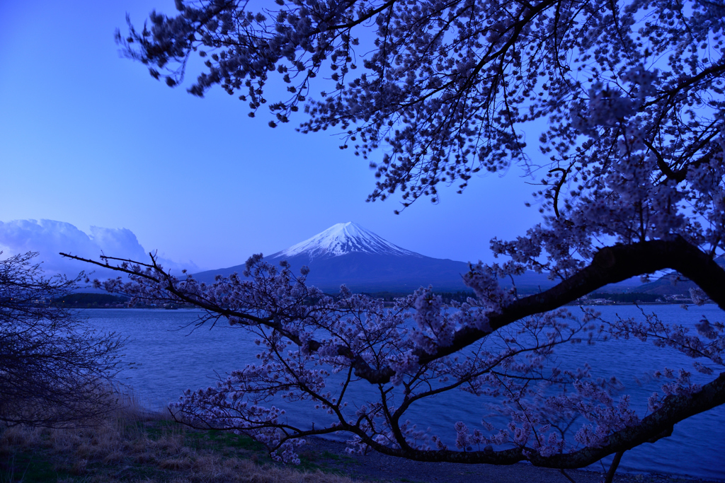 Blue hour