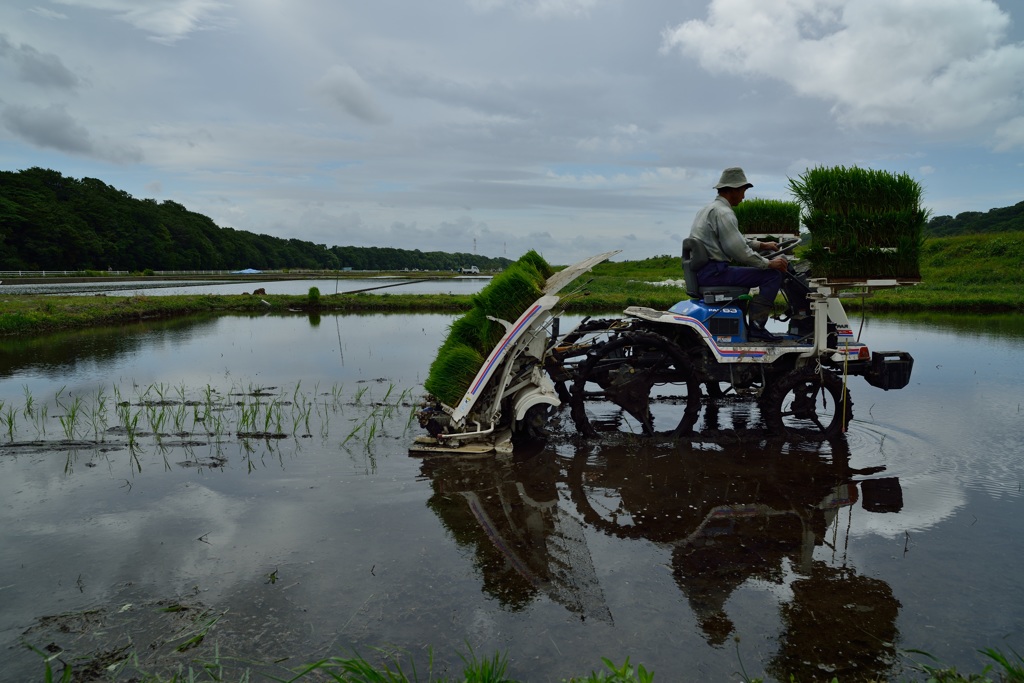 ”田植えスタート”