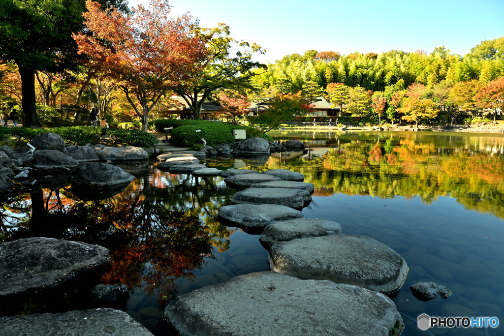 燃えだした日本庭園Ⅳ