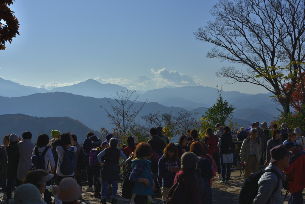 富士山見えないわね。。