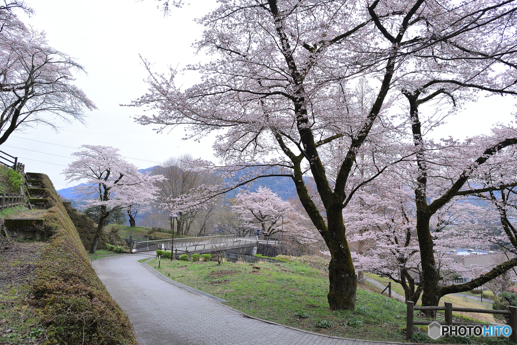 寂しげな雨後の城址公園