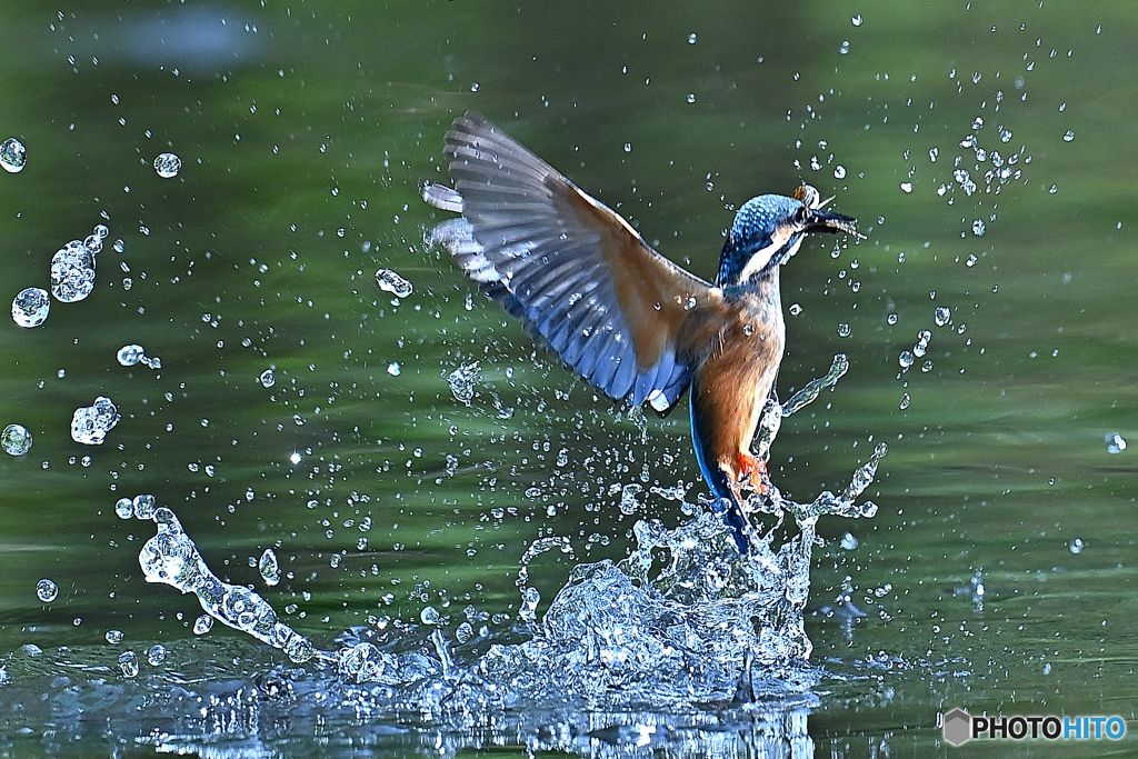 翡翠若の飛沫