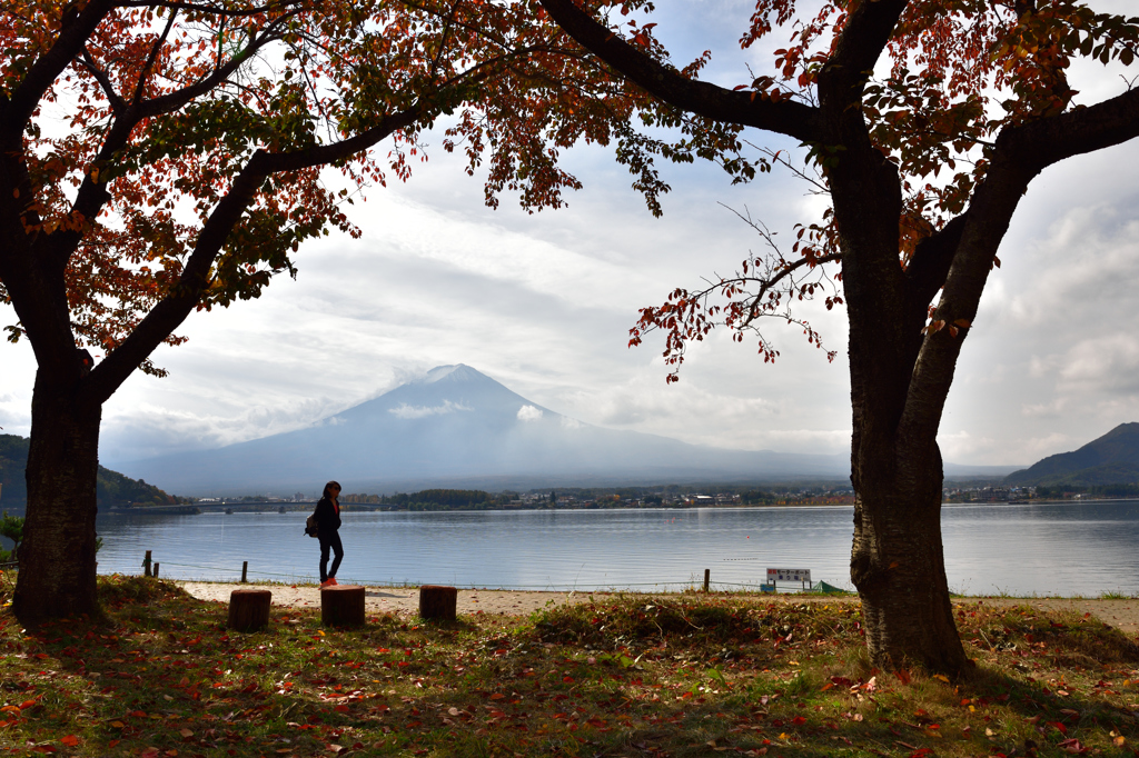 紅葉一人旅