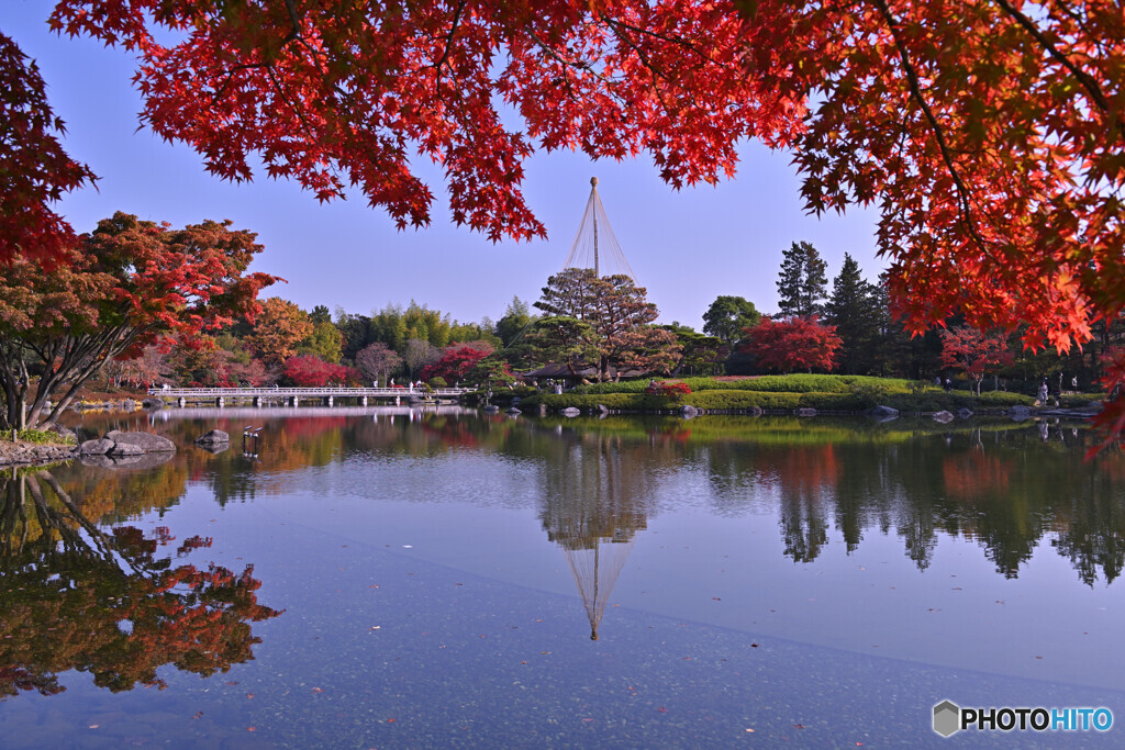 庭園の紅葉Ⅱ