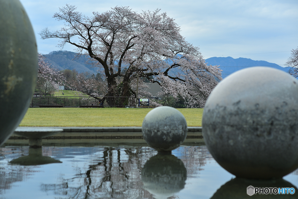 水の苑地で戯れる