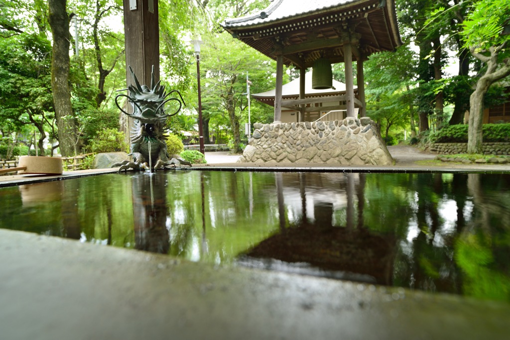 ～映る～無量光寺（鐘楼）