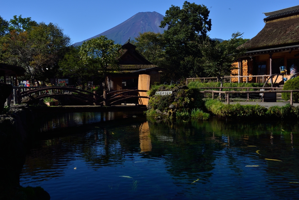 ”忍野八海～湧水”