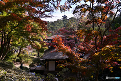 横浜三渓園