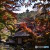 横浜三渓園
