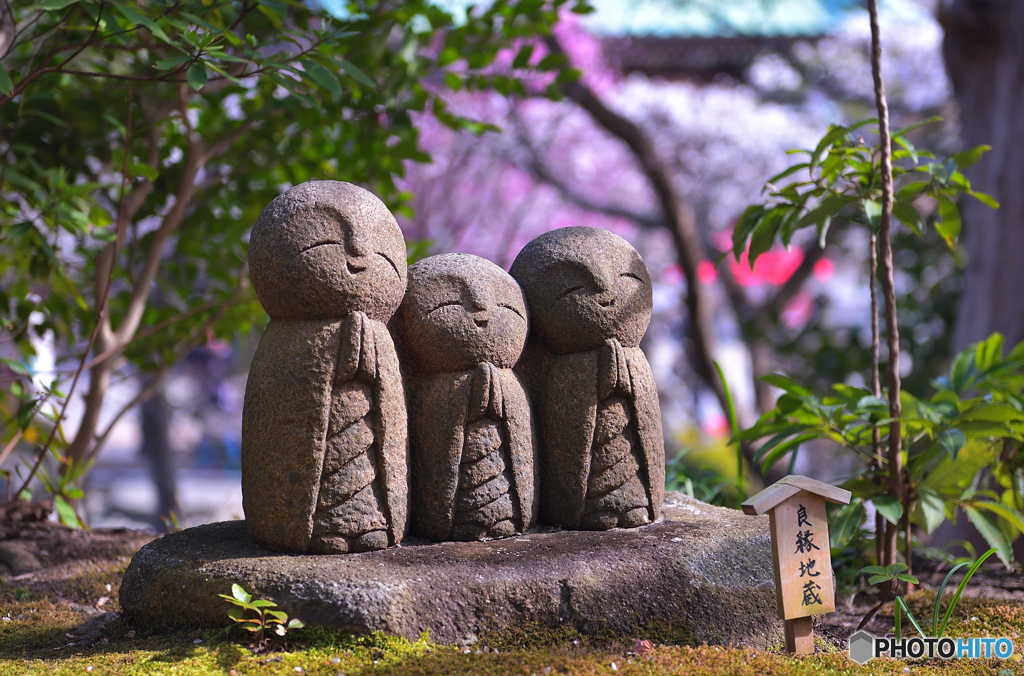 春に微笑む