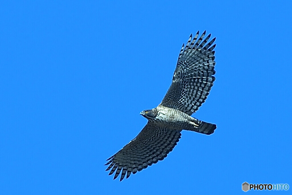 俺の青空