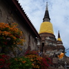 シルエットの美しい仏塔　