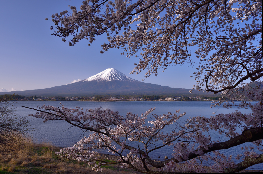 桜餅のように