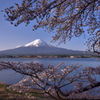 桜餅のように