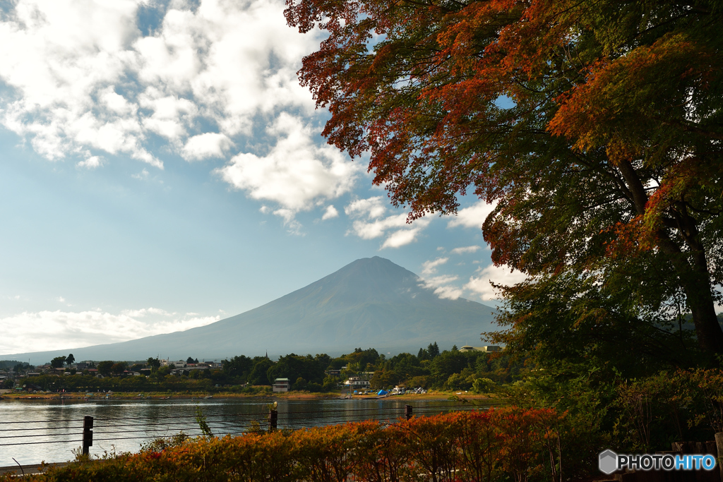 河口湖の紅葉は。。