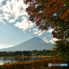河口湖の紅葉は。。