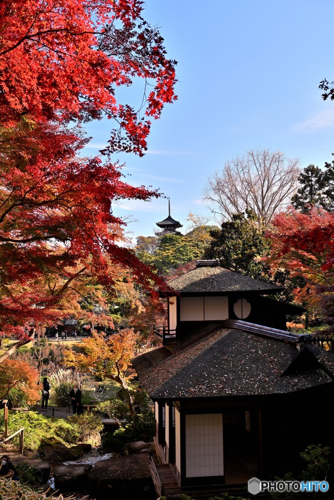 横浜三渓園Ⅱ