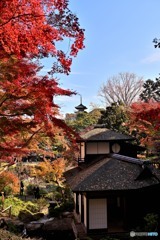 横浜三渓園Ⅱ