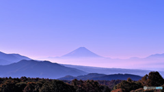 高原からの穏やかな朝富士