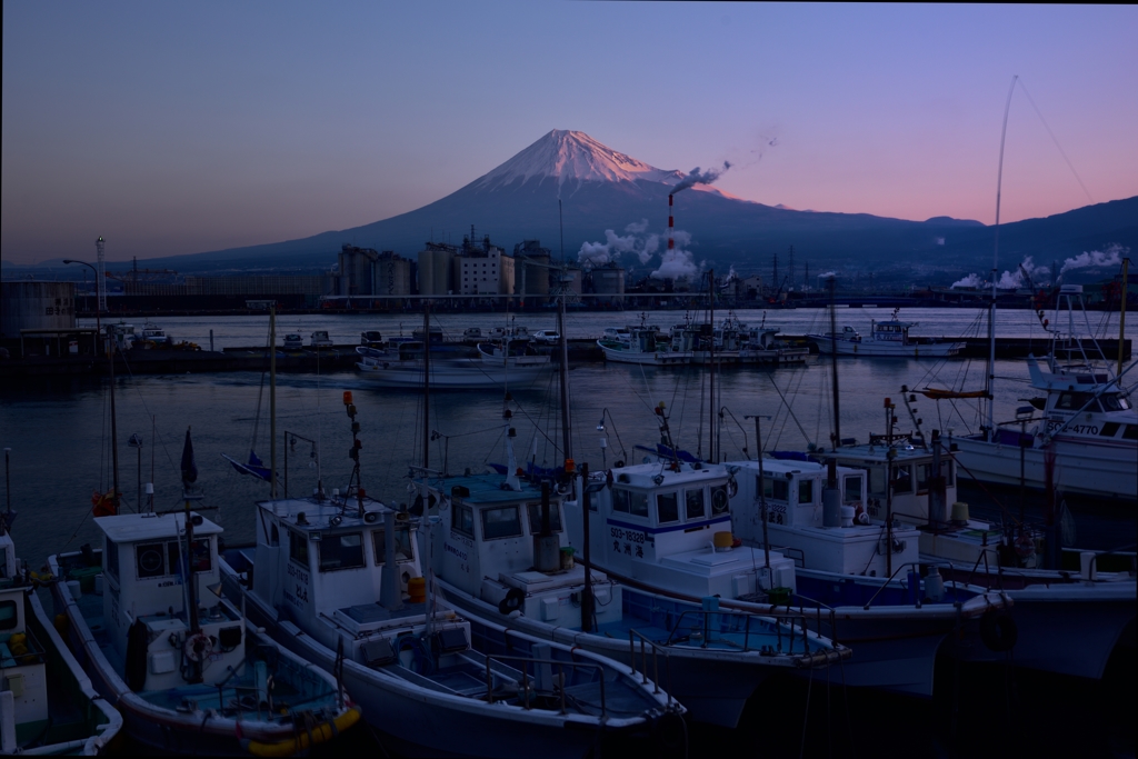 ”穏やかな朝の漁港”