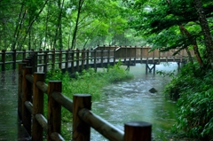 ”上高地遊歩道”