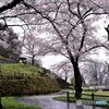 雨の城址公園