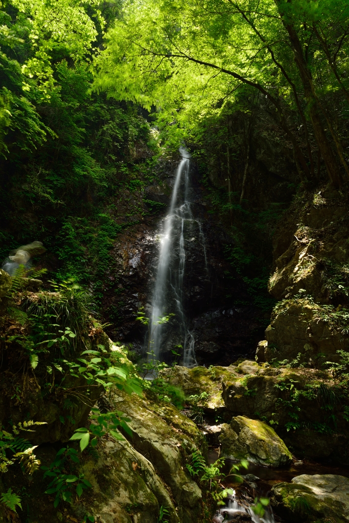 ”払沢の滝Ⅰ”