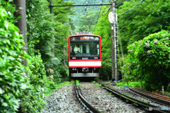 全面復旧の箱根登山鉄道