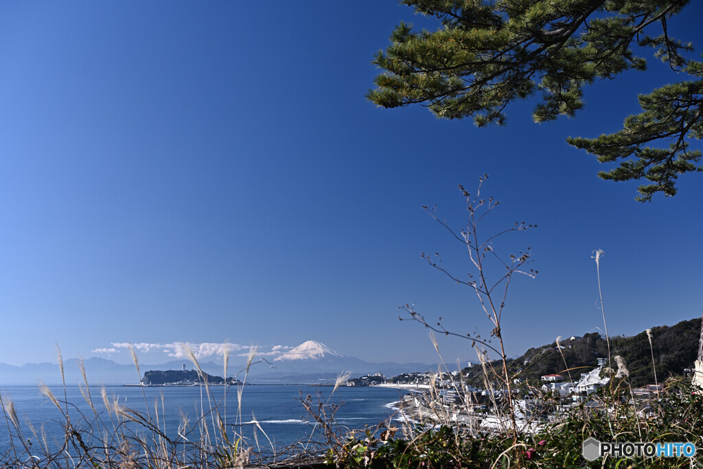 湘南海岸の秘境Ⅱ。。