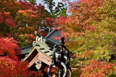 ”薬王院御本堂の紅葉”