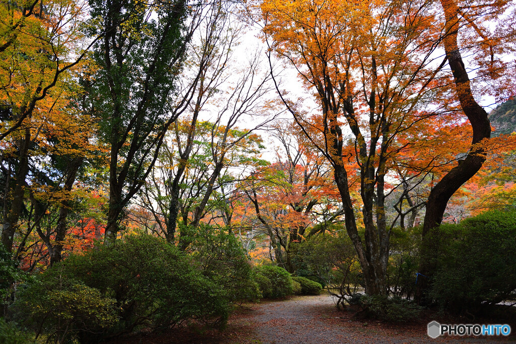 この先はと。。