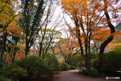 この先はと。。